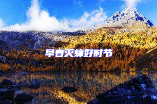 早春滅蟑好時(shí)節(jié)
