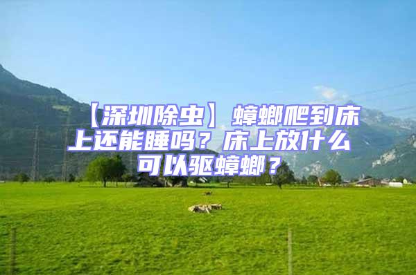 【深圳除蟲(chóng)】蟑螂爬到床上還能睡嗎？床上放什么可以驅(qū)蟑螂？