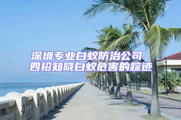 深圳專業白蟻防治公司 四招知曉白蟻危害的蹤跡