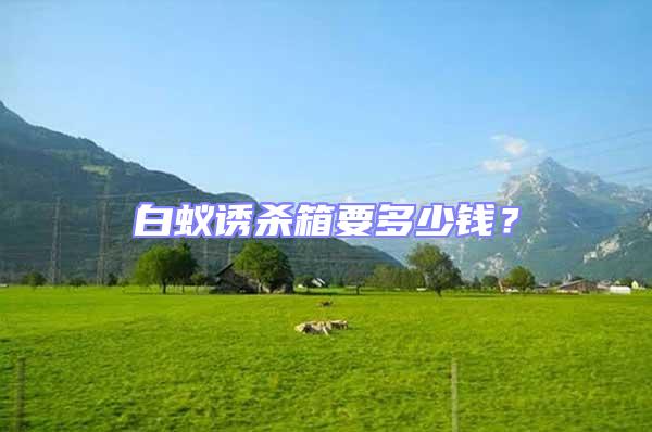 白蟻誘殺箱要多少錢？