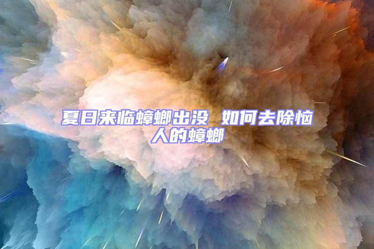 夏日來臨蟑螂出沒 如何去除惱人的蟑螂