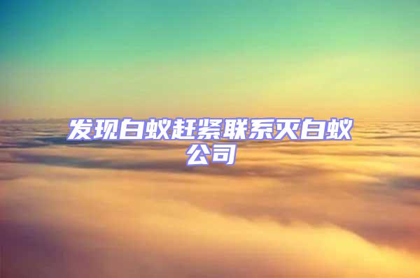 發(fā)現(xiàn)白蟻趕緊聯(lián)系滅白蟻公司