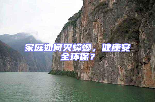 家庭如何滅蟑螂，健康安全環(huán)保？
