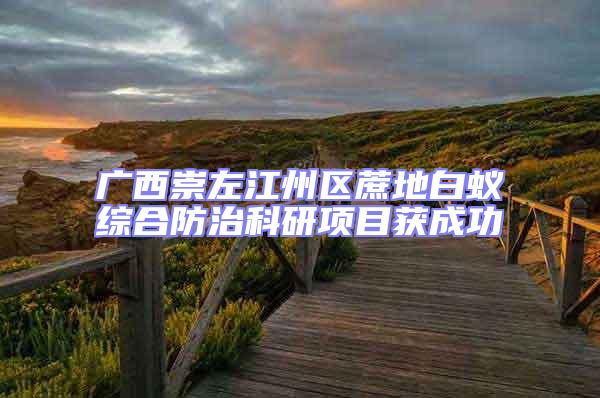 廣西崇左江州區蔗地白蟻綜合防治科研項目獲成功