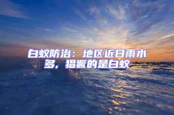 白蟻防治：地區(qū)近日雨水多, 猖獗的是白蟻