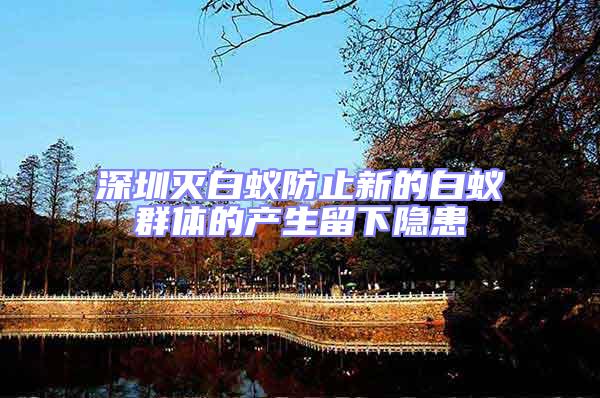 深圳滅白蟻防止新的白蟻群體的產生留下隱患