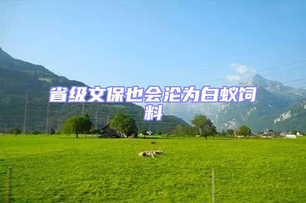 省級文保也會淪為白蟻飼料