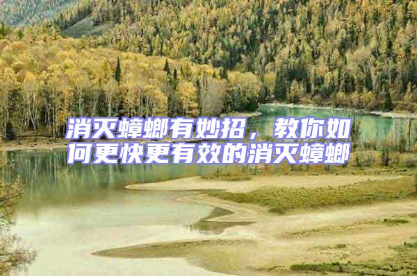 消滅蟑螂有妙招，教你如何更快更有效的消滅蟑螂