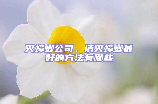 滅蟑螂公司，消滅蟑螂最好的方法有哪些