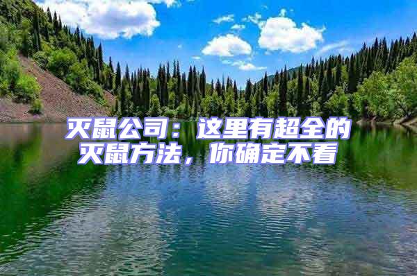 滅鼠公司：這里有超全的滅鼠方法，你確定不看