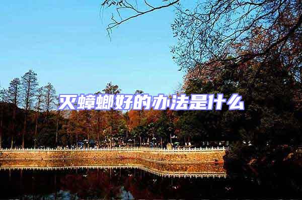 滅蟑螂好的辦法是什么