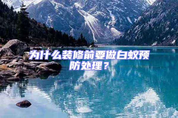 為什么裝修前要做白蟻預防處理？
