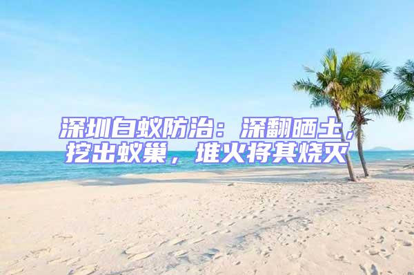 深圳白蟻防治：深翻曬土，挖出蟻巢，堆火將其燒滅