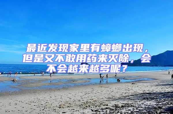 最近發現家里有蟑螂出現，但是又不敢用藥來滅除，會不會越來越多呢？