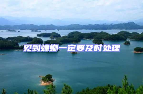 見到蟑螂一定要及時處理