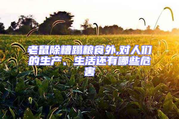老鼠除糟蹋糧食外,對人們的生產、生活還有哪些危害