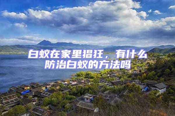 白蟻在家里猖狂，有什么防治白蟻的方法嗎