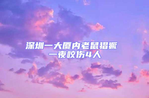 深圳一大廈內老鼠猖獗 一夜咬傷4人