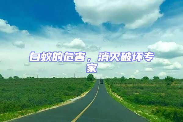 白蟻的危害，消滅破壞專家
