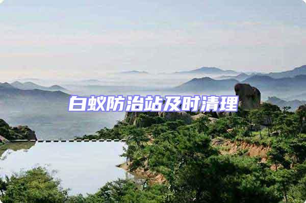 白蟻防治站及時清理