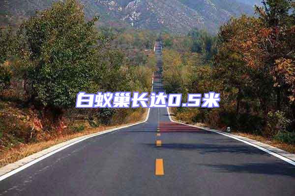 白蟻巢長達(dá)0.5米