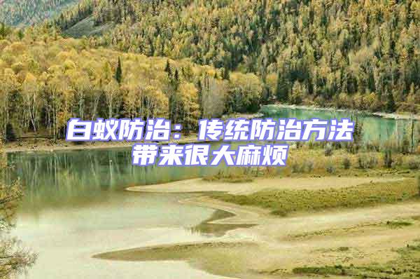 白蟻防治：傳統(tǒng)防治方法帶來(lái)很大麻煩