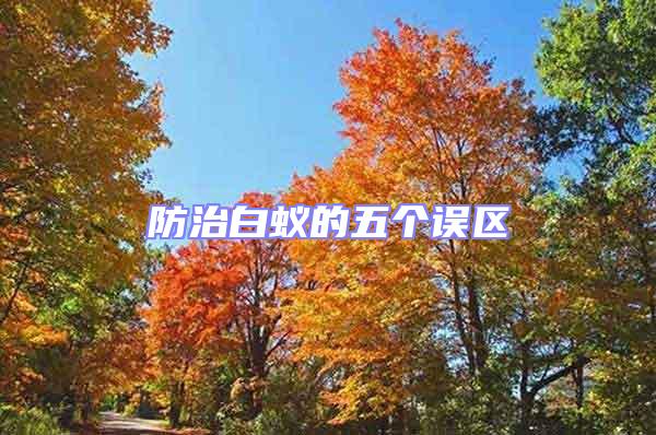 防治白蟻的五個誤區