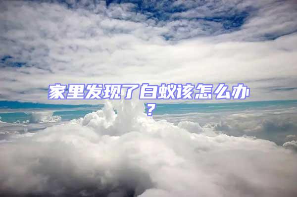 家里發現了白蟻該怎么辦？