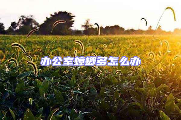 辦公室蟑螂多怎么辦