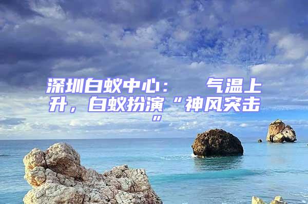 深圳白蟻中心：  氣溫上升，白蟻扮演“神風突擊”