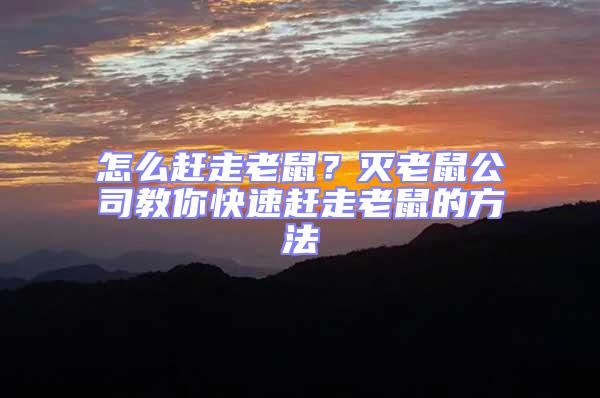 怎么趕走老鼠？滅老鼠公司教你快速趕走老鼠的方法