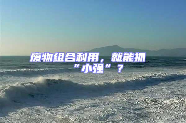 廢物組合利用，就能抓“小強(qiáng)”？