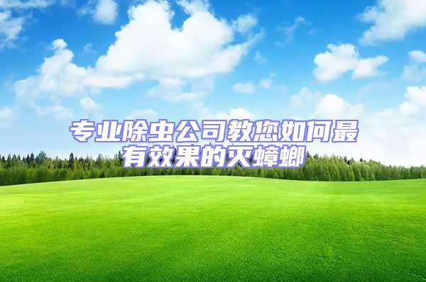 專業(yè)除蟲公司教您如何最有效果的滅蟑螂