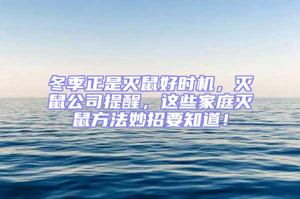 冬季正是滅鼠好時機，滅鼠公司提醒，這些家庭滅鼠方法妙招要知道！