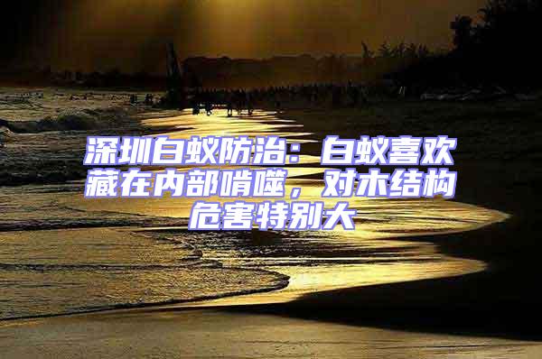 深圳白蟻防治：白蟻喜歡藏在內(nèi)部啃噬，對(duì)木結(jié)構(gòu)危害特別大