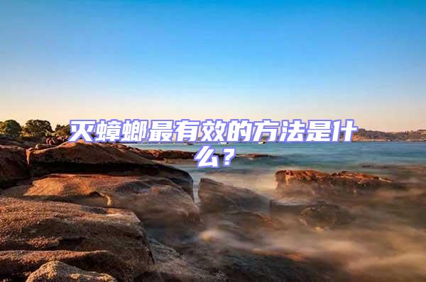 滅蟑螂最有效的方法是什么？