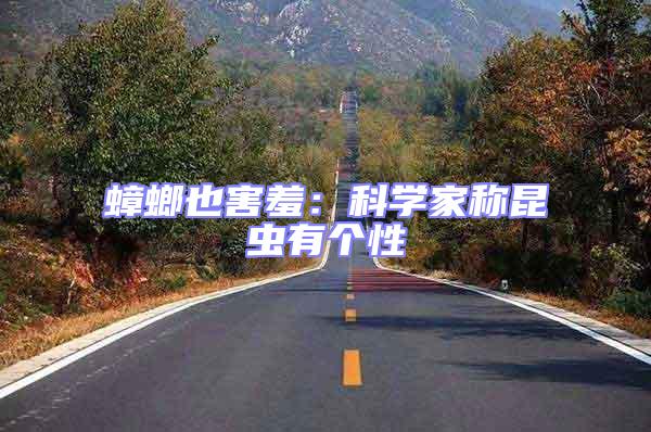 蟑螂也害羞：科學(xué)家稱昆蟲(chóng)有個(gè)性