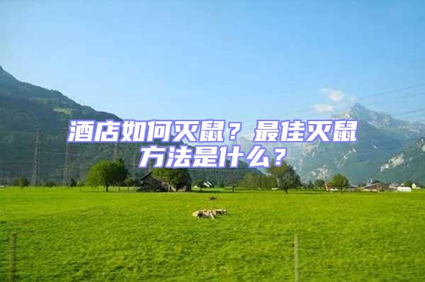 酒店如何滅鼠？最佳滅鼠方法是什么？