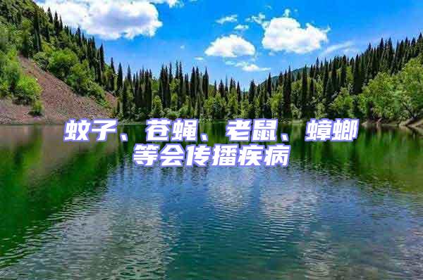 蚊子、蒼蠅、老鼠、蟑螂等會(huì)傳播疾病