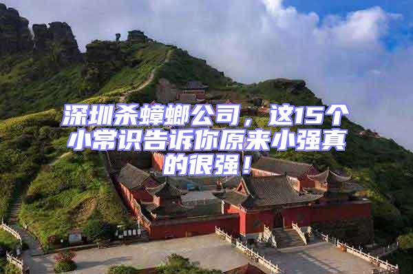 深圳殺蟑螂公司，這15個小常識告訴你原來小強(qiáng)真的很強(qiáng)！