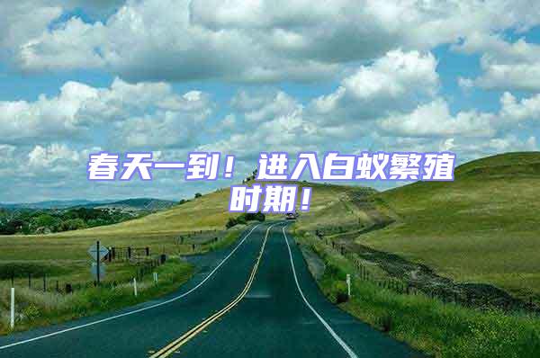 春天一到！進(jìn)入白蟻繁殖時(shí)期！
