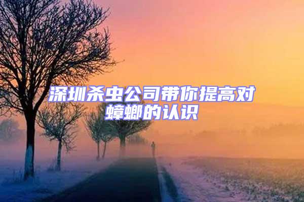 深圳殺蟲公司帶你提高對蟑螂的認識