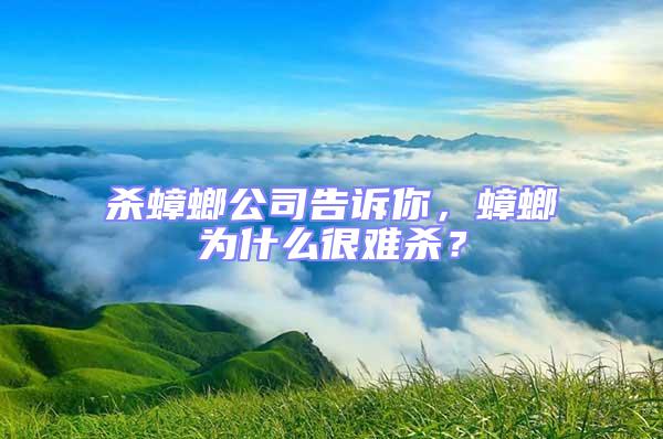 殺蟑螂公司告訴你，蟑螂為什么很難殺？