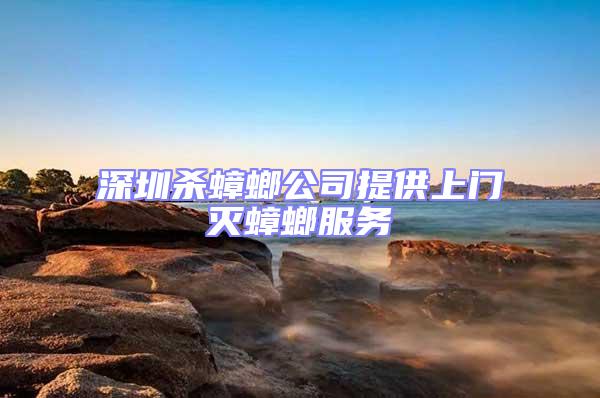 深圳殺蟑螂公司提供上門滅蟑螂服務(wù)