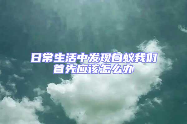 日常生活中發現白蟻我們首先應該怎么辦