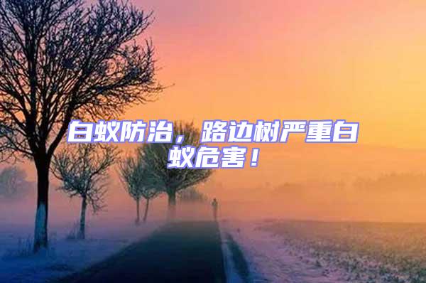 白蟻防治，路邊樹嚴重白蟻危害！