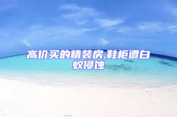 高價買的精裝房,鞋柜遭白蟻侵蝕