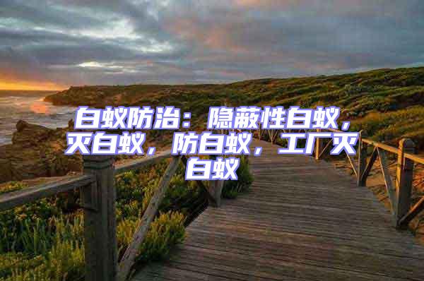 白蟻防治：隱蔽性白蟻，滅白蟻，防白蟻，工廠滅白蟻