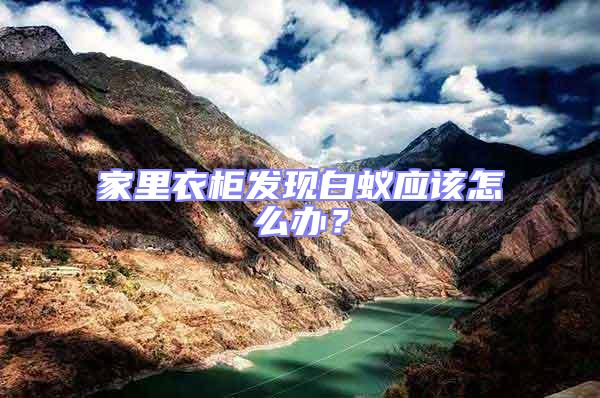 家里衣柜發(fā)現(xiàn)白蟻應(yīng)該怎么辦？