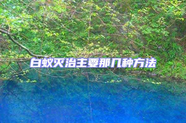 白蟻滅治主要那幾種方法